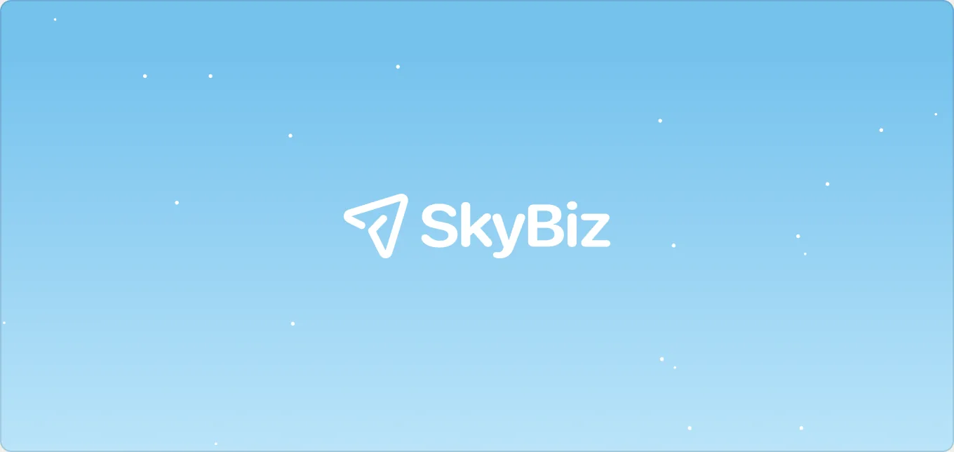 SkyBiz — SkyBiz cover