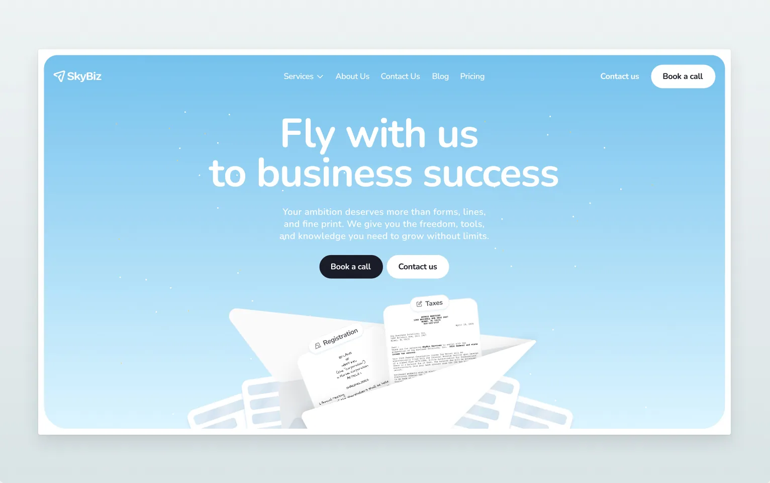 SkyBiz — screen 1
